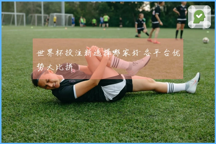 世界杯投注新选择哪家好 各平台优势大比拼