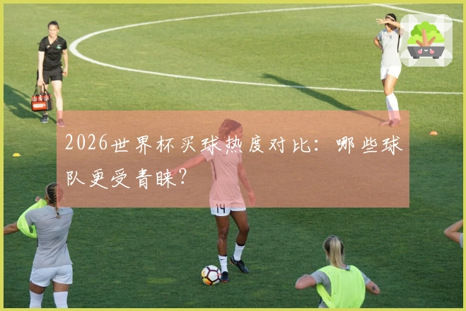 2026世界杯买球热度对比：哪些球队更受青睐？