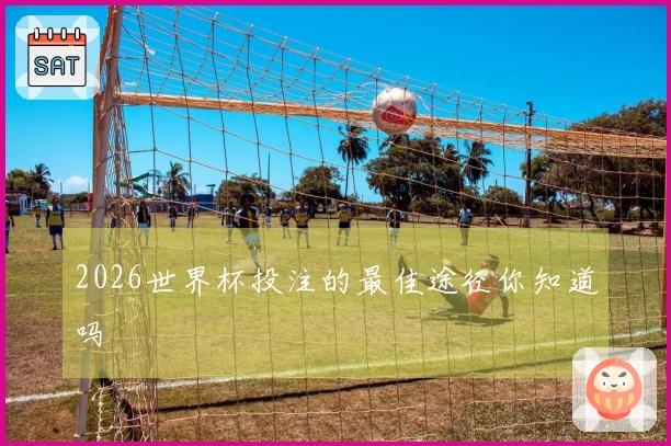 2026世界杯投注的最佳途径你知道吗