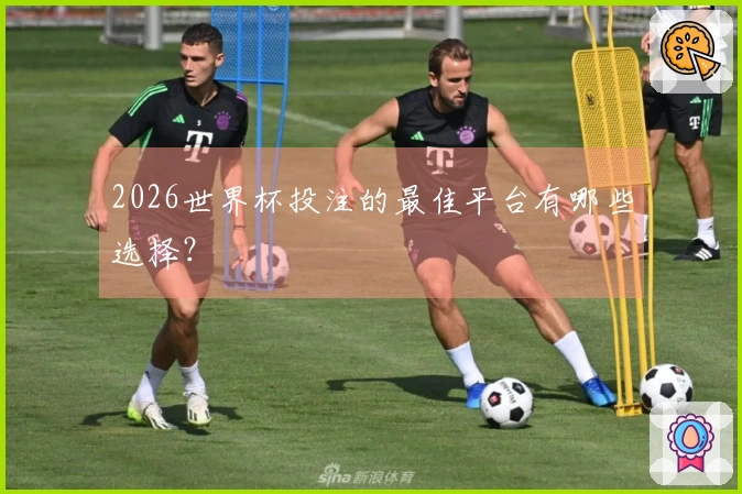 2026世界杯投注的最佳平台有哪些选择？