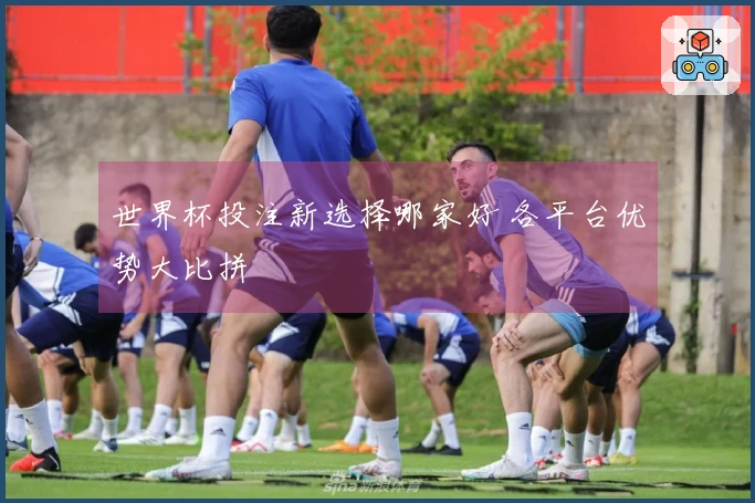 世界杯投注新选择哪家好 各平台优势大比拼