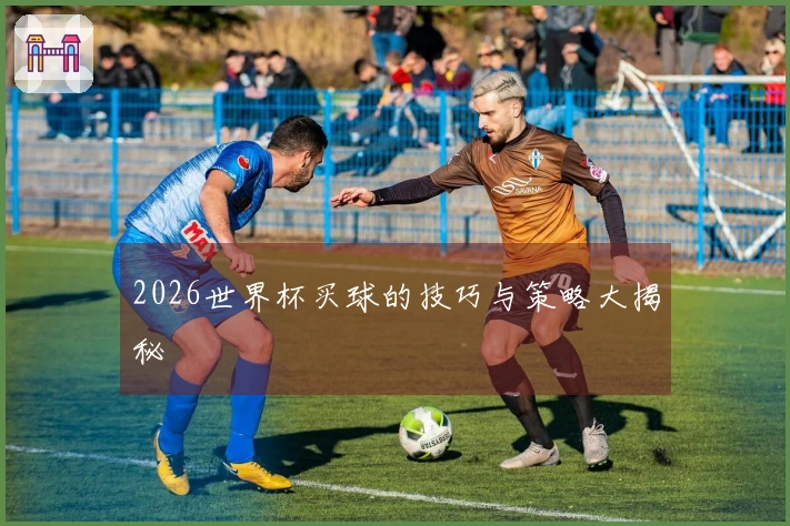 2026世界杯买球的技巧与策略大揭秘