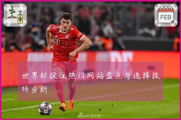 世界杯投注热门网站盘点与选择技巧分析