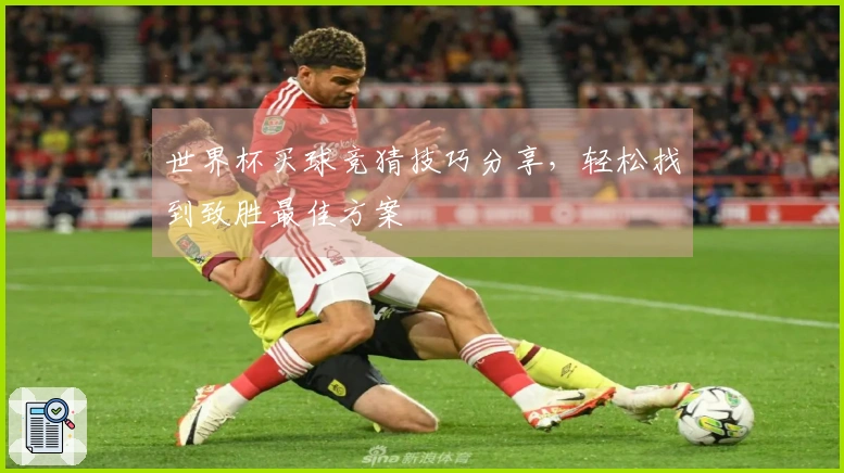 世界杯买球竞猜技巧分享，轻松找到致胜最佳方案