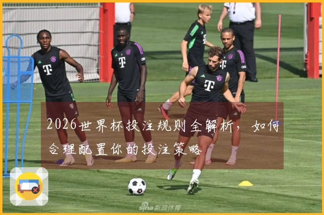 2026世界杯投注规则全解析，如何合理配置你的投注策略