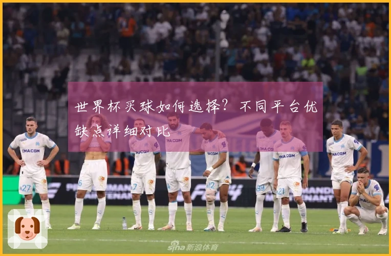 世界杯买球如何选择？不同平台优缺点详细对比