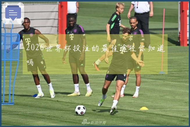 2026世界杯投注的最佳途径你知道吗